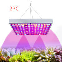 elevate-growth-led-plant-light-for-greenhouse-seedlings