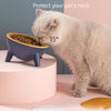 Nordic Color Pet Feeding Bowl with Stand - Perfect for Cats, Dogs, Bunnies, and Rabbits. Enhance Mealtime with Stylish and Convenient Pet Accessories.