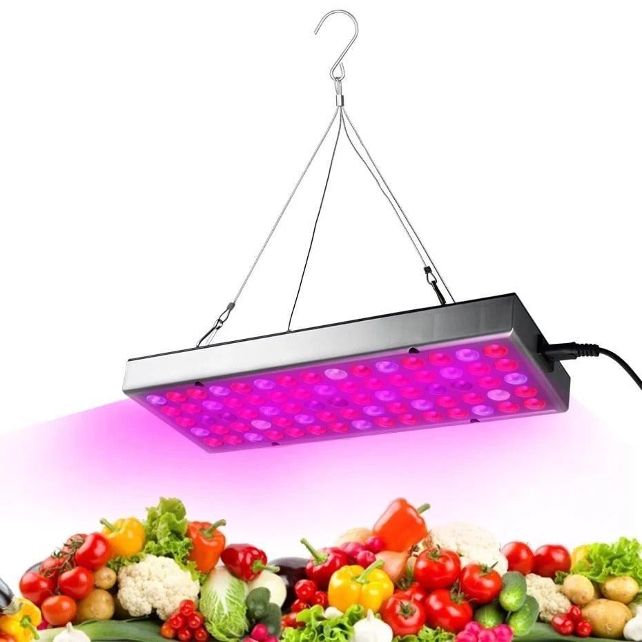 elevate-growth-led-plant-light-for-greenhouse-seedlings