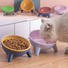 Nordic Color Pet Feeding Bowl with Stand - Perfect for Cats, Dogs, Bunnies, and Rabbits. Enhance Mealtime with Stylish and Convenient Pet Accessories.