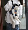 spring-outing-ready-portable-cat-backpack-for-adventures